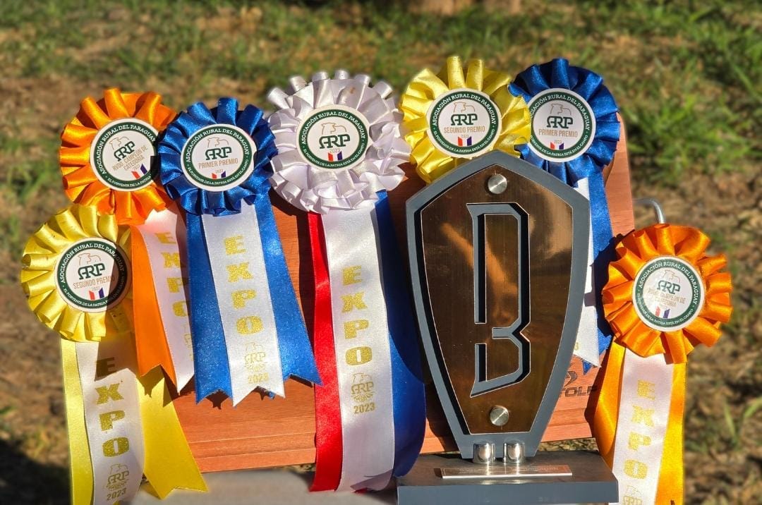 Expo 2023 - Gran Campeona Brahman