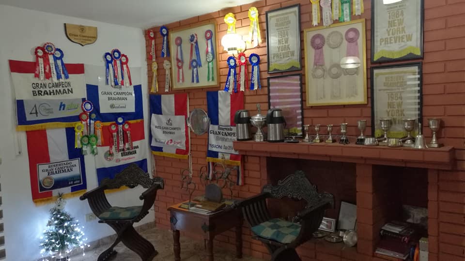 Premios y reconocimientos